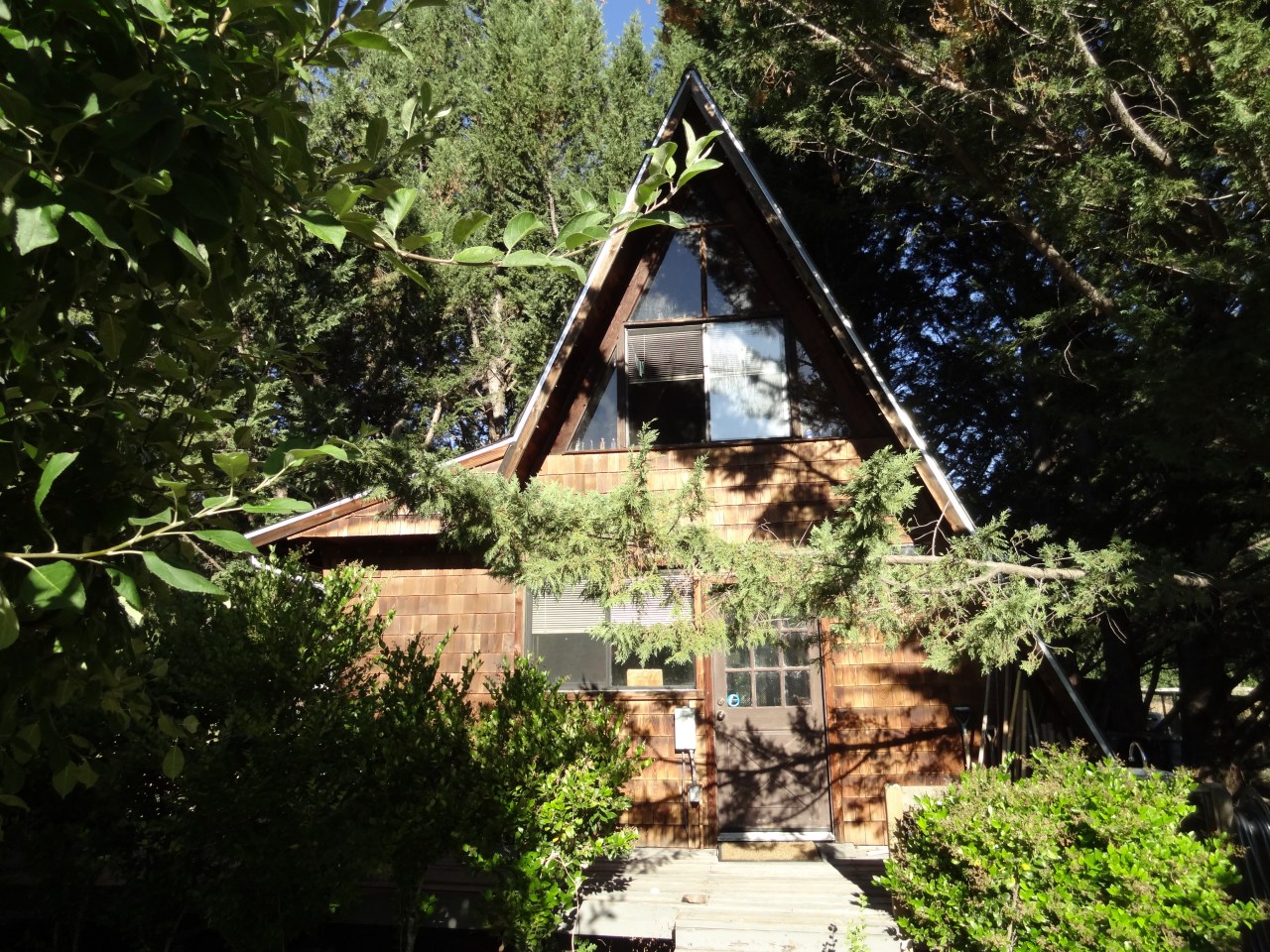 We Spent Some Time in This Cute Little Cottage With Dane, a Good Friend of David's