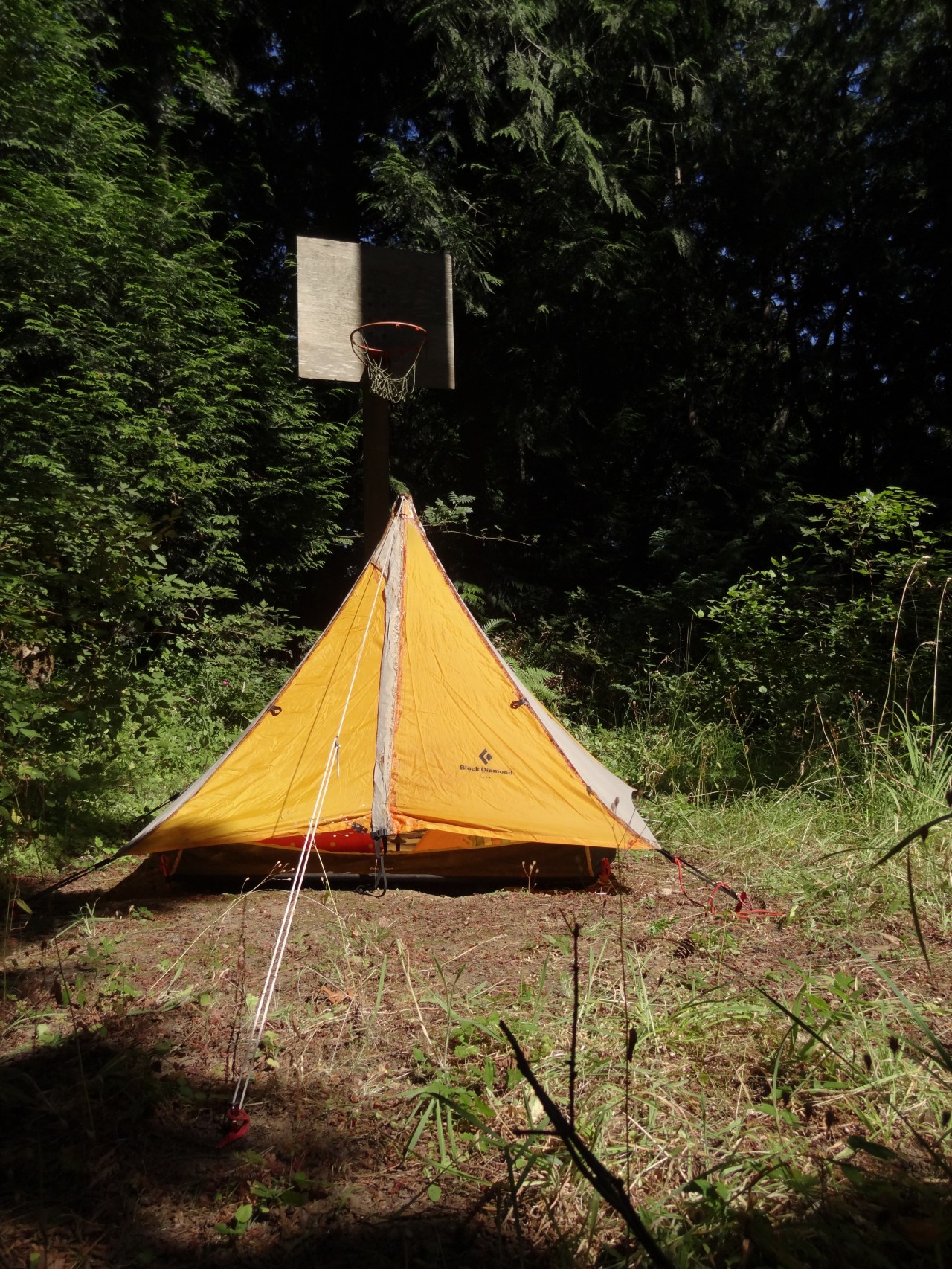Our Tent in the Basketball Court