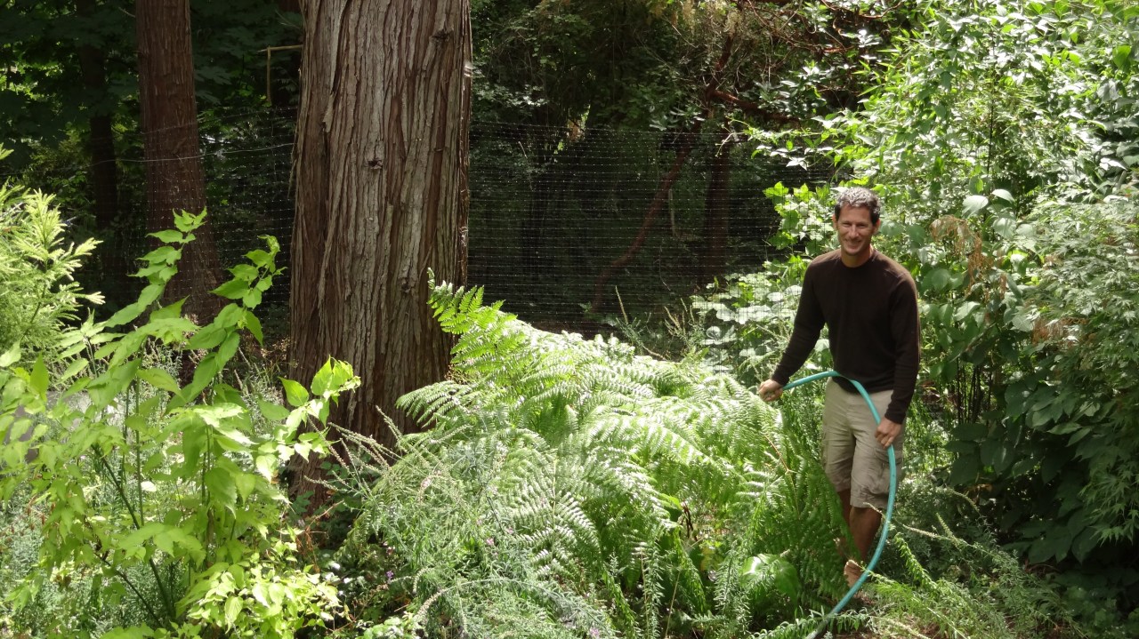 David Watering the Garden