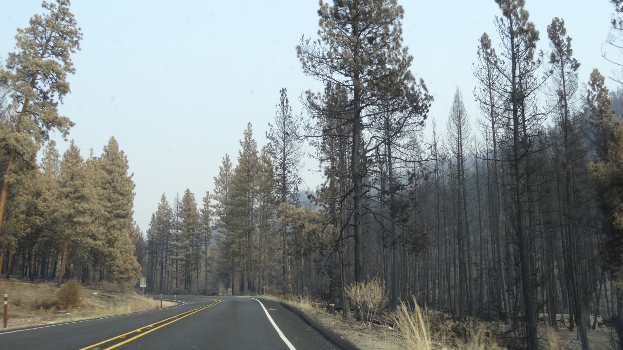 We Saw Proof of Current Forest Fires in Washington on Our Drive. Fortunately No Homes Were Lost.