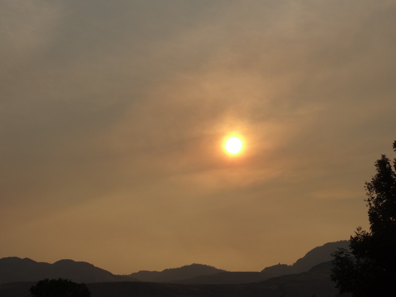 And in the Evening the Sun Was Surrounded With Red From the Ash Particles in the Sky 