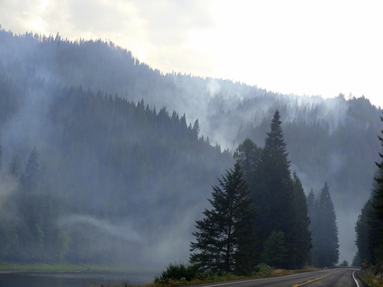 Avoid Getting Too Close to Wild Forest Fires!