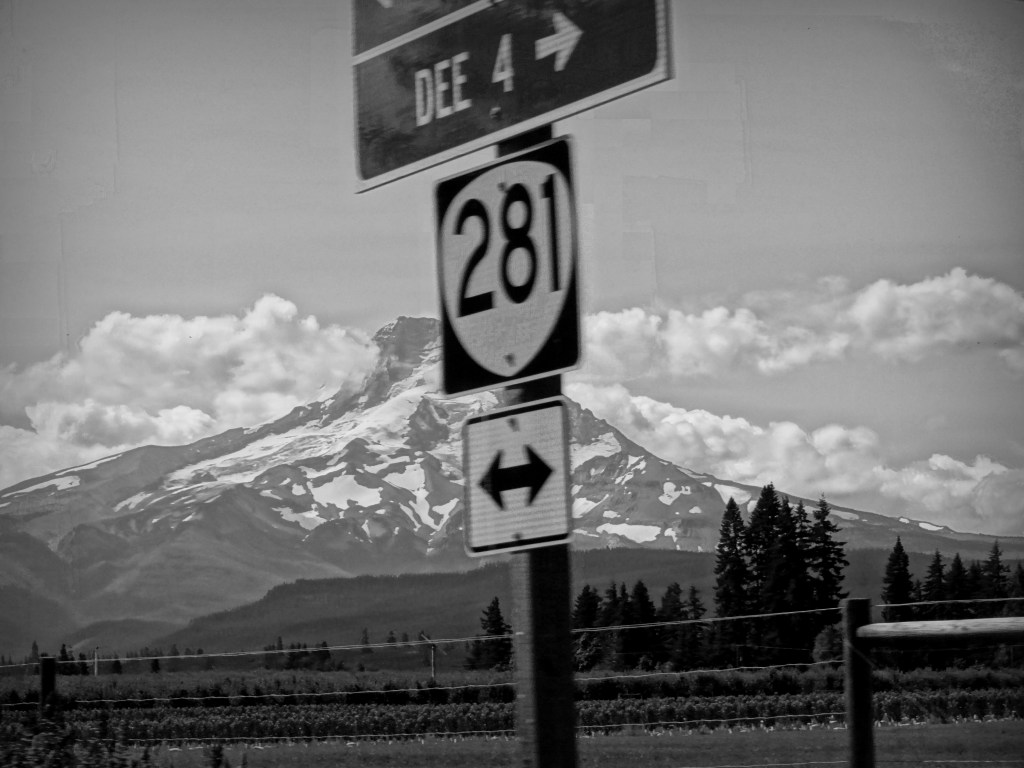 Mount Hood in the Background