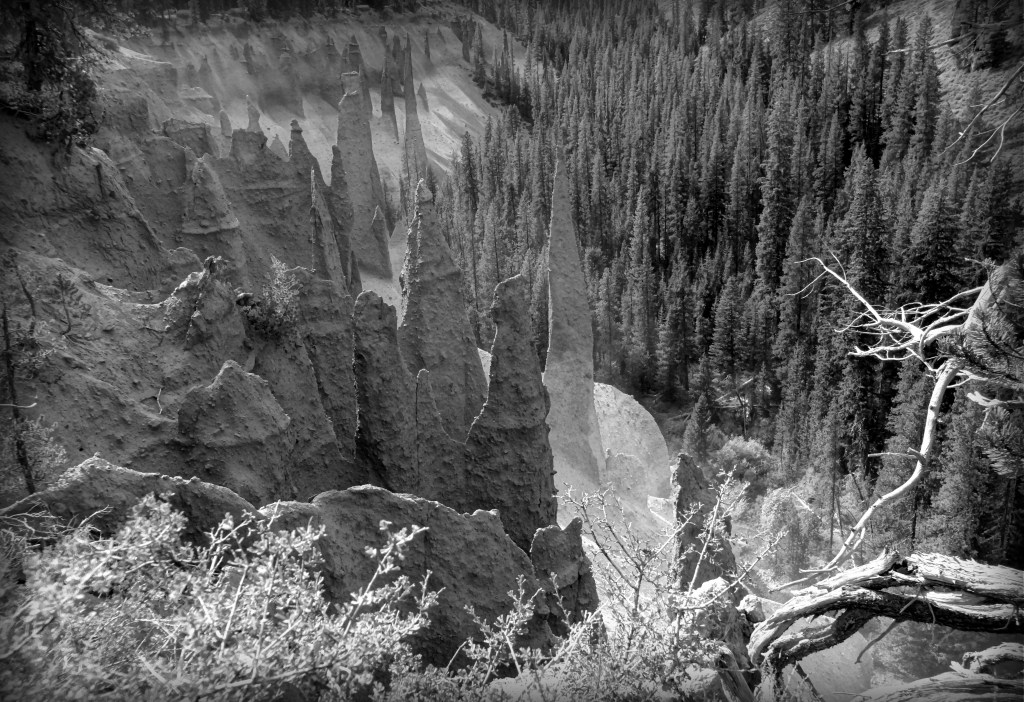 Pinnacles at Crater Lake N.P. in Oregon