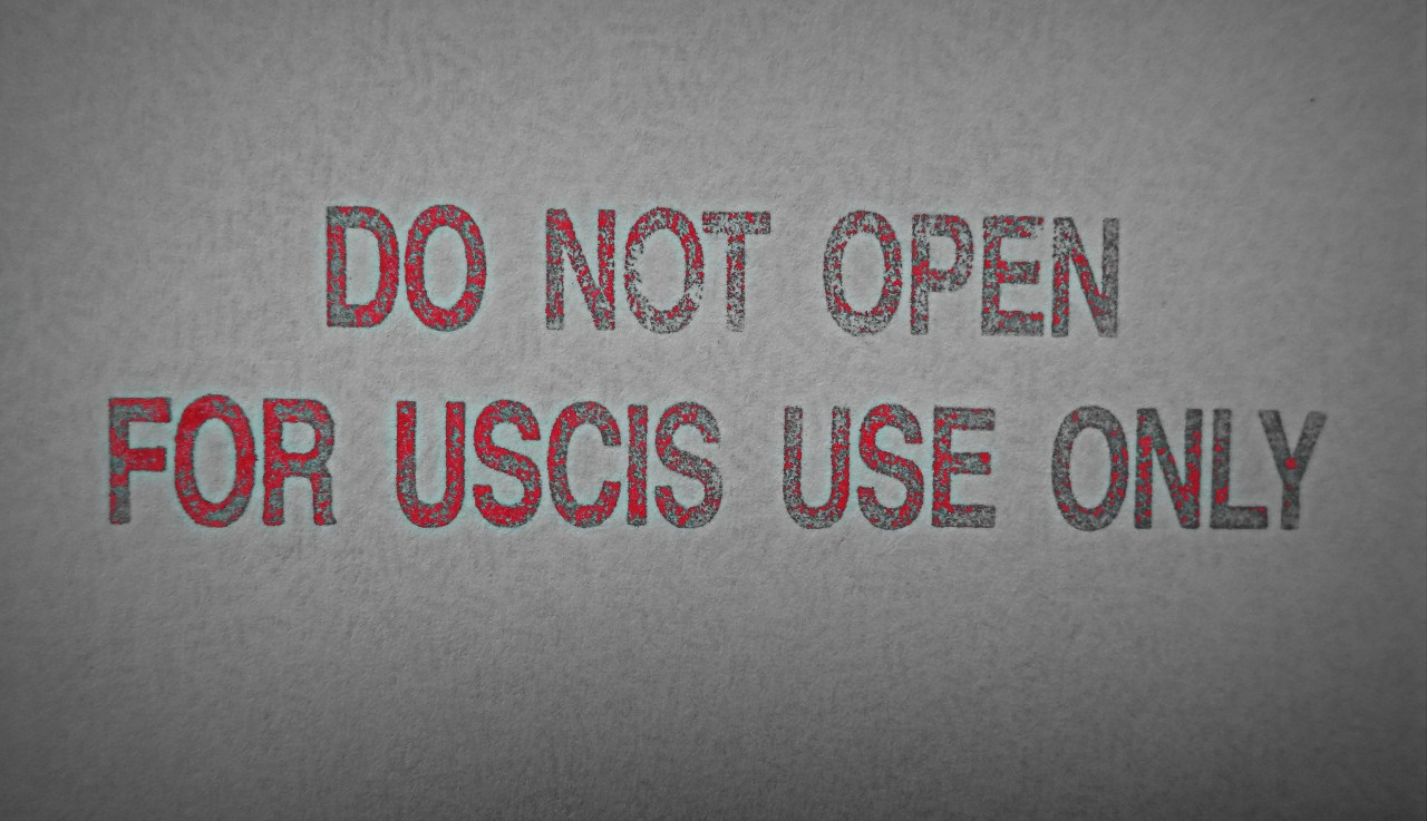 The Immigration Process