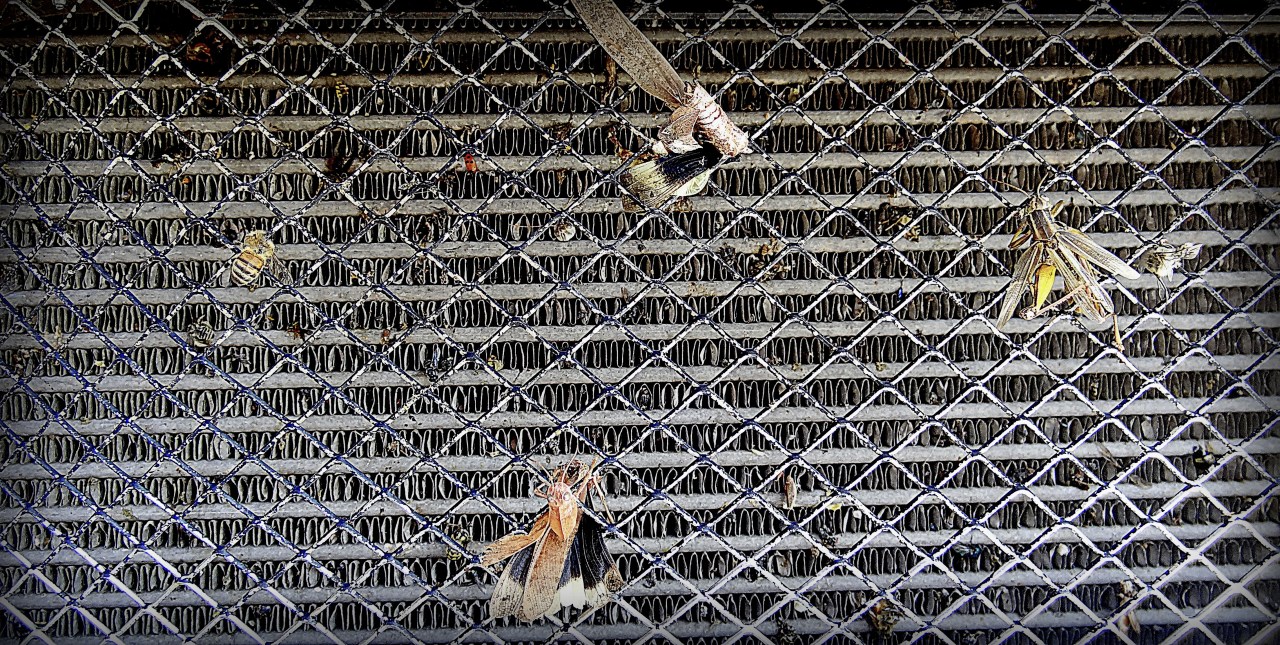 Road Trip Pictures: Part&nbsp;VII