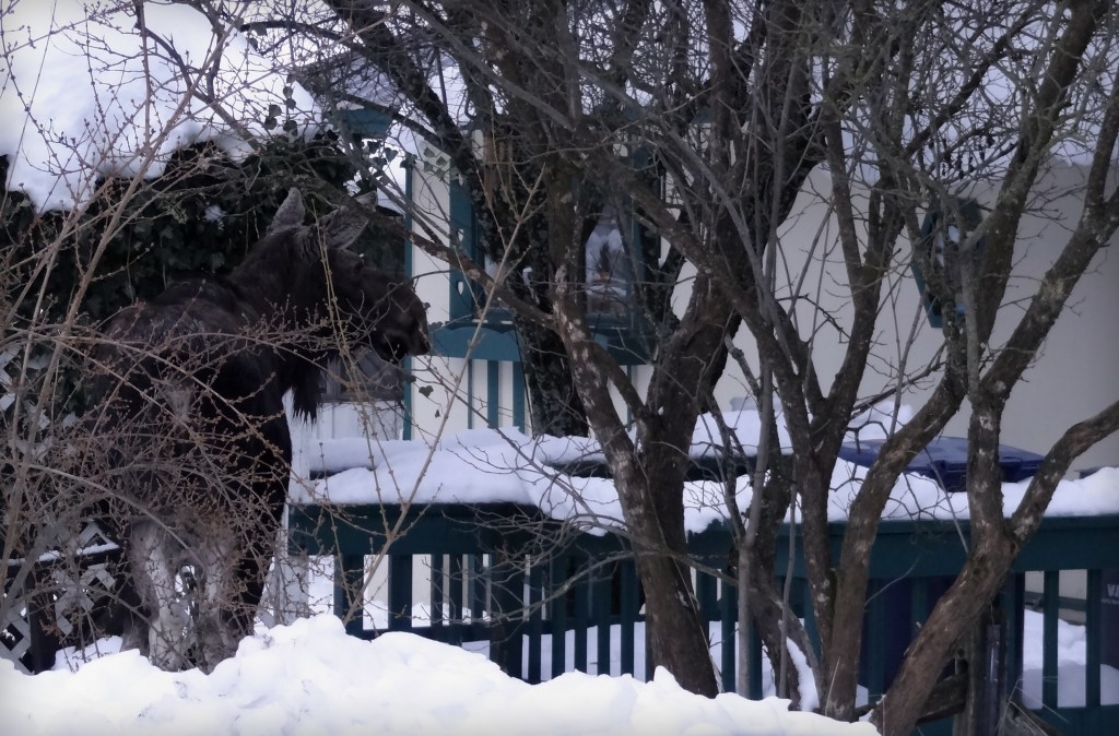 'Hey, I Know You've Got My Favorite Plants in There!'