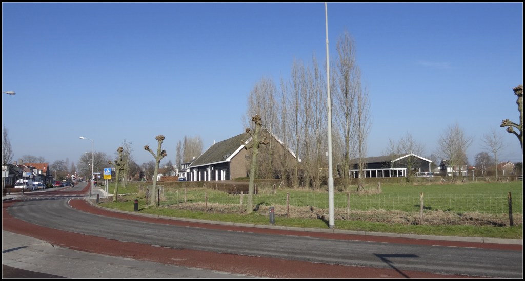 The Sheep Field In Town