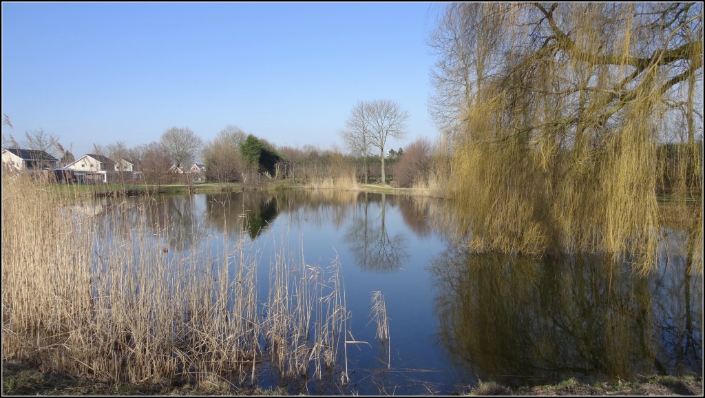 The Black Pond Where Kids Came To Be Cheeky 