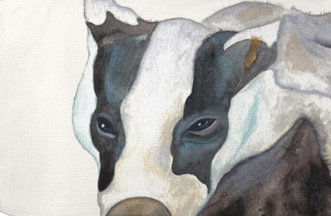 Badger Baby