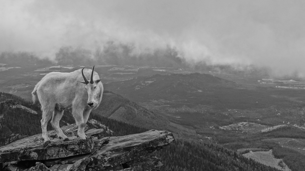 One weekend in North&nbsp;Idaho